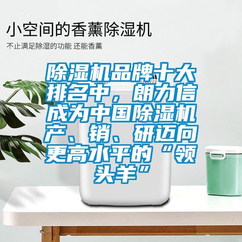 除濕機品牌十大排名中,朗力信成為中國除濕機產、銷、研邁向更高水平的“領頭羊”