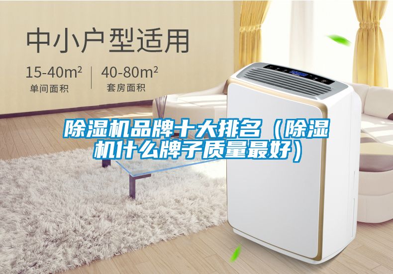 除濕機品牌十大排名(除濕機什么牌子質(zhì)量最好)