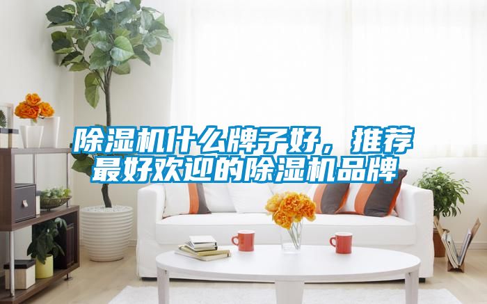 除濕機什么牌子好,推薦最好歡迎的除濕機品牌
