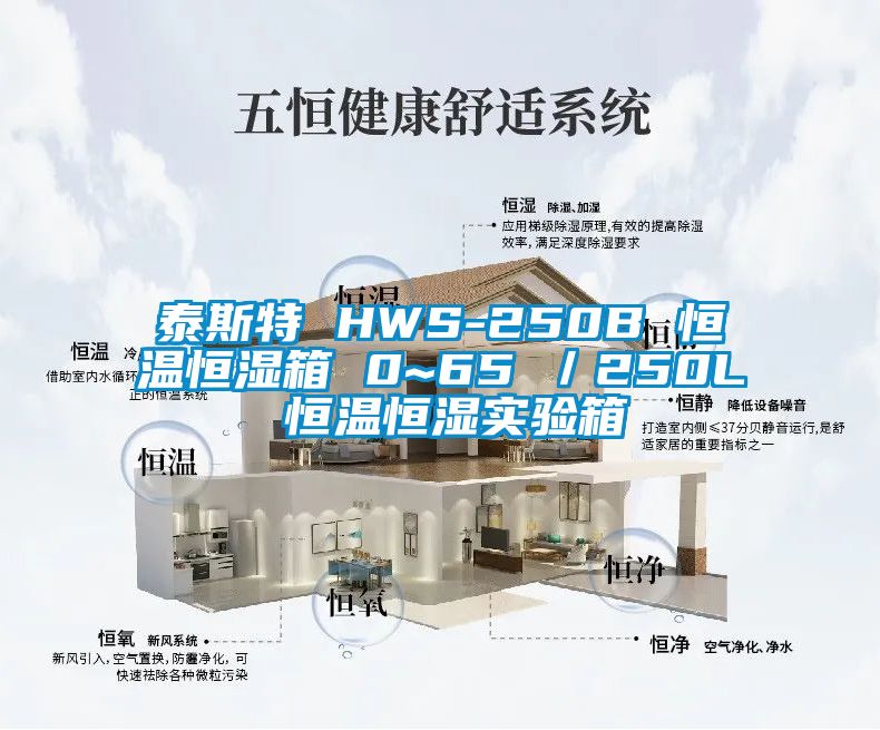 泰斯特 HWS-250B 恒溫恒濕箱 0~65℃/250L 恒溫恒濕實(shí)驗(yàn)箱