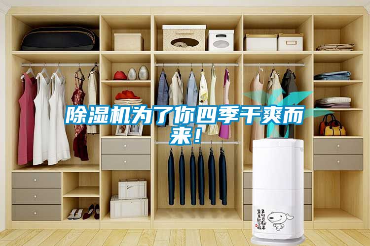 除濕機為了你四季干爽而來!