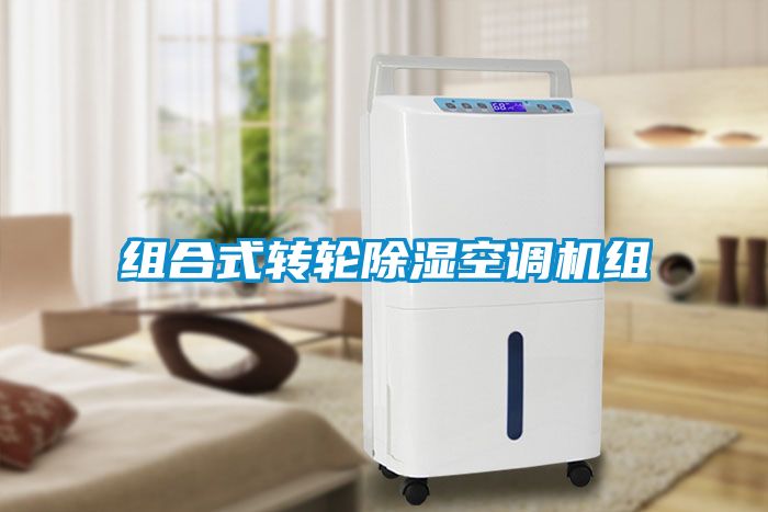 組合式轉輪除濕空調(diào)機組