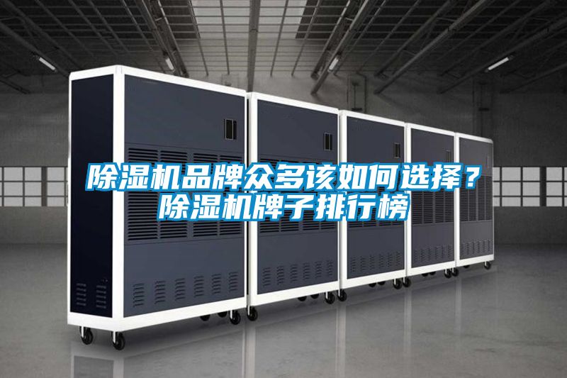 除濕機品牌眾多該如何選擇?除濕機牌子排行榜