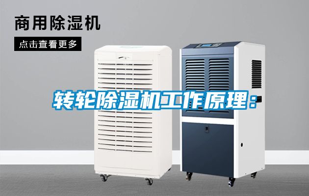 轉(zhuǎn)輪除濕機工作原理: