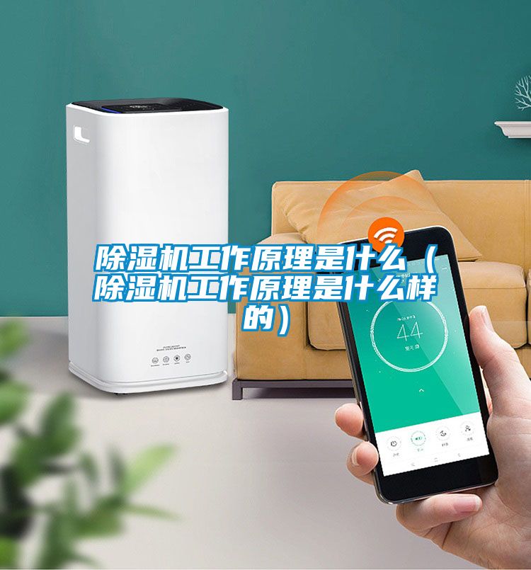 除濕機工作原理是什么(除濕機工作原理是什么樣的)