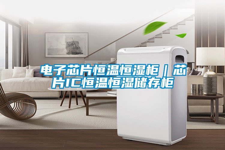 電子芯片恒溫恒濕柜|芯片IC恒溫恒濕儲存柜