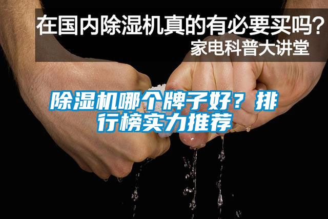 除濕機哪個牌子好?排行榜實力推薦