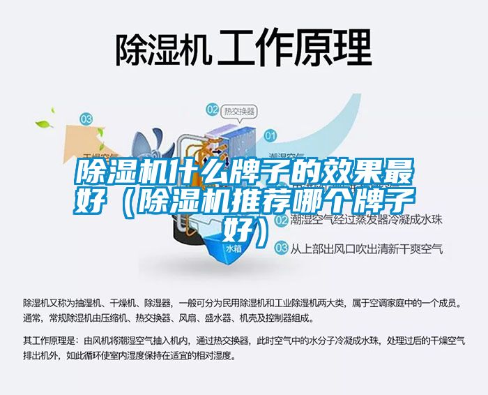 除濕機什么牌子的效果最好(除濕機推薦哪個牌子好)
