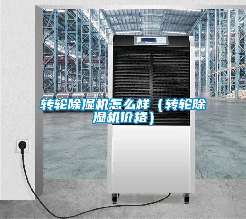 轉輪除濕機怎么樣(轉輪除濕機價格)