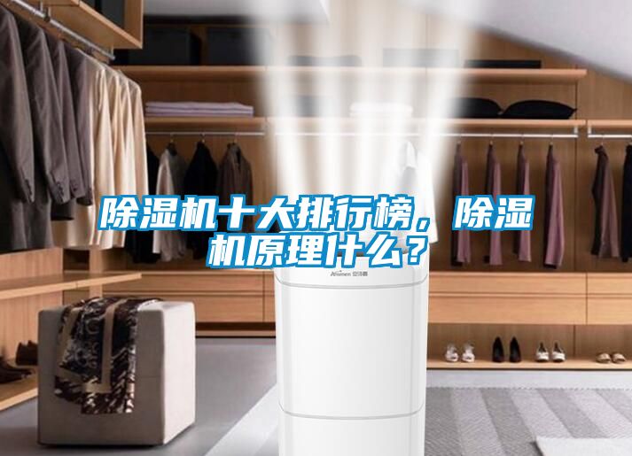 除濕機(jī)十大排行榜，除濕機(jī)原理什么？