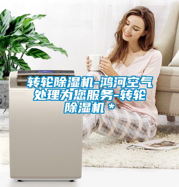轉輪除濕機-鴻河空氣處理為您服務-轉輪除濕機*