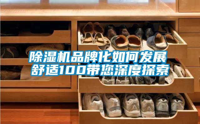 除濕機品牌化如何發展  舒適100帶您深度探索