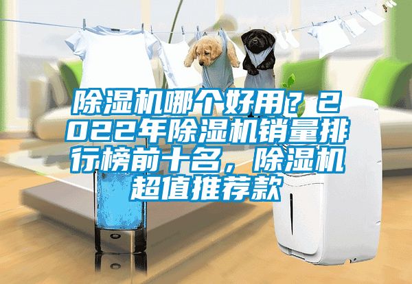 除濕機(jī)哪個(gè)好用？2022年除濕機(jī)銷(xiāo)量排行榜前十名，除濕機(jī)超值推薦款