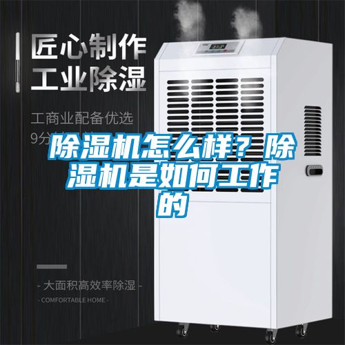 除濕機怎么樣?除濕機是如何工作的