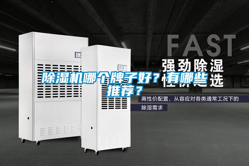 除濕機哪個牌子好?有哪些推薦?