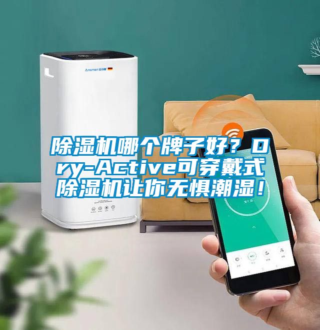 除濕機哪個牌子好?Dry-Active可穿戴式除濕機讓你無懼潮濕!