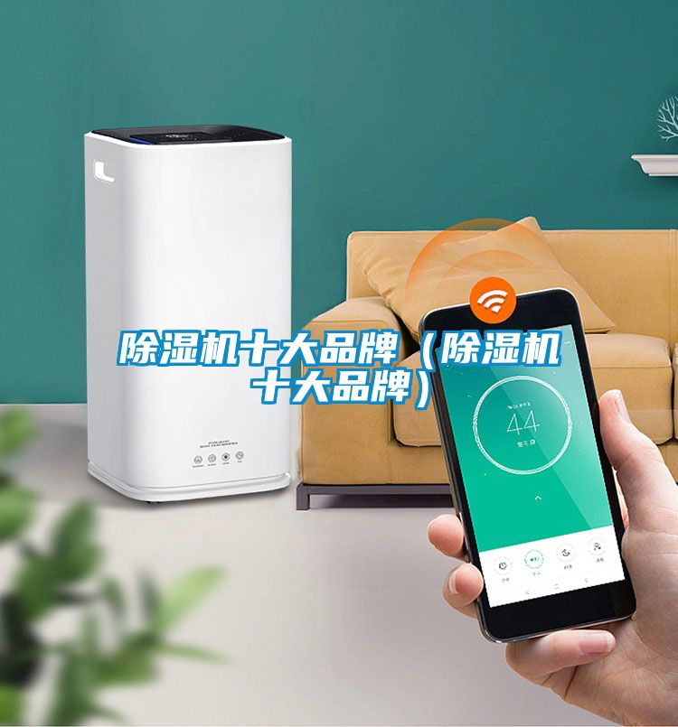 除濕機(jī)十大品牌(除濕機(jī)十大品牌)