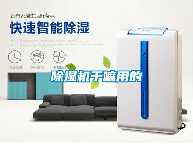 除濕機(jī)干嘛用的