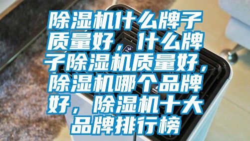除濕機什么牌子質量好，什么牌子除濕機質量好，除濕機哪個品牌好，除濕機十大品牌排行榜