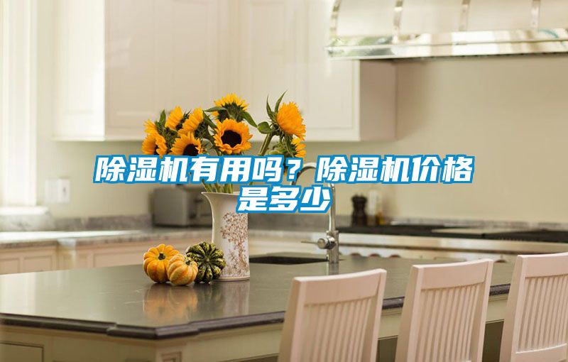 除濕機(jī)有用嗎?除濕機(jī)價格是多少