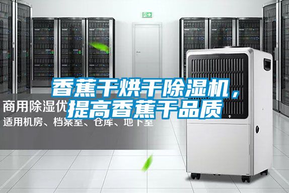 香蕉干烘干除濕機,提高香蕉干品質(zhì)