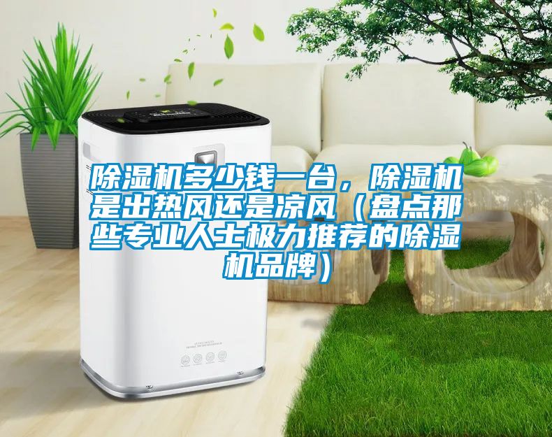 除濕機(jī)多少錢一臺(tái),除濕機(jī)是出熱風(fēng)還是涼風(fēng)(盤(pán)點(diǎn)那些專業(yè)人士極力推薦的除濕機(jī)品牌)