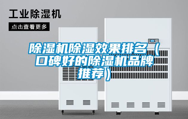 除濕機除濕效果排名(口碑好的除濕機品牌推薦)
