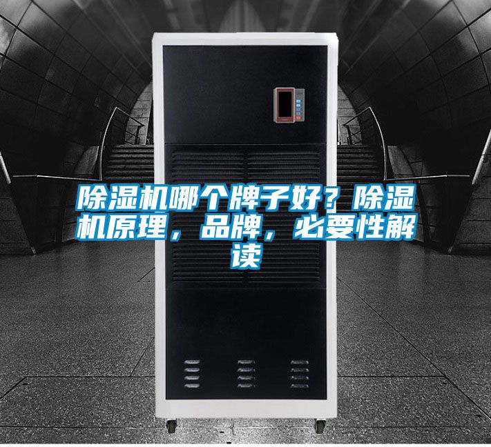 除濕機哪個牌子好?除濕機原理,品牌,必要性解讀