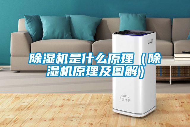除濕機是什么原理(除濕機原理及圖解)