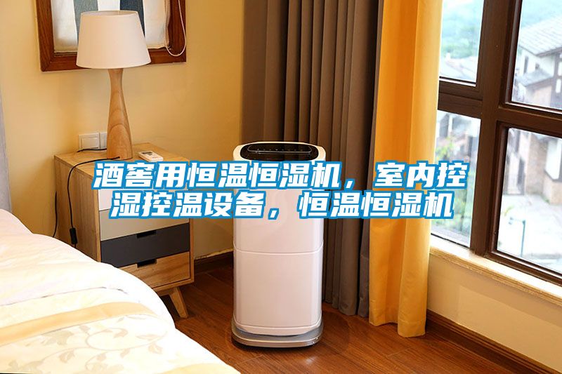 酒窖用恒溫恒濕機,室內控濕控溫設備,恒溫恒濕機