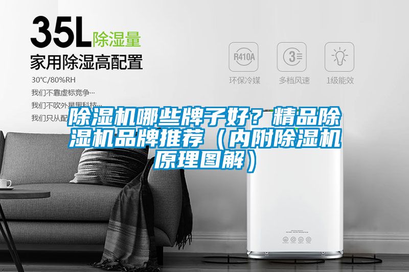 除濕機哪些牌子好?精品除濕機品牌推薦(內附除濕機原理圖解)
