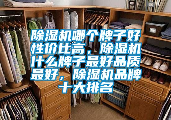 除濕機(jī)哪個牌子好性價比高,除濕機(jī)什么牌子最好品質(zhì)最好,除濕機(jī)品牌十大排名