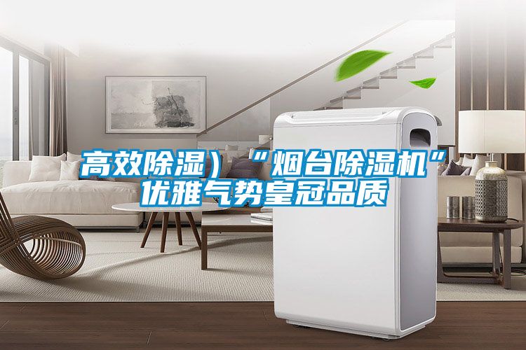 高效除濕)“煙臺除濕機”優雅氣勢皇冠品質