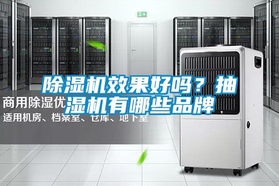 除濕機效果好嗎?抽濕機有哪些品牌