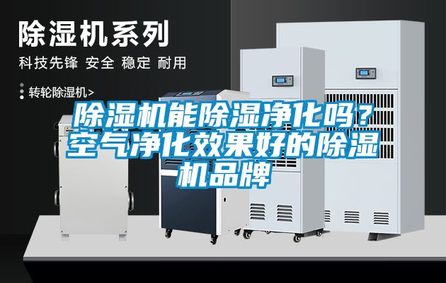 除濕機能除濕凈化嗎?空氣凈化效果好的除濕機品牌