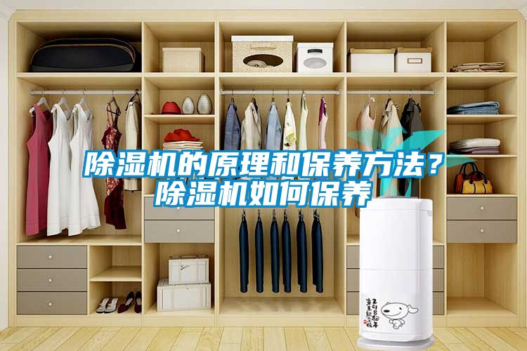 除濕機的原理和保養方法?除濕機如何保養