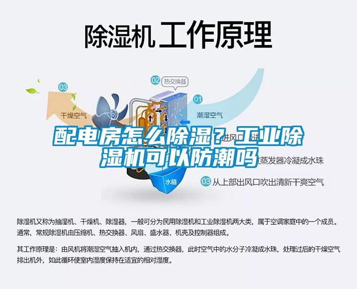 配電房怎么除濕?工業除濕機可以防潮嗎
