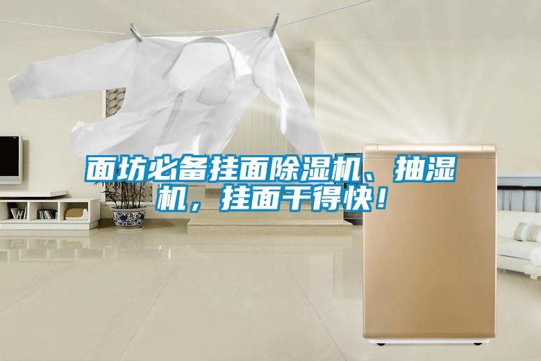 面坊必備掛面除濕機、抽濕機,掛面干得快!