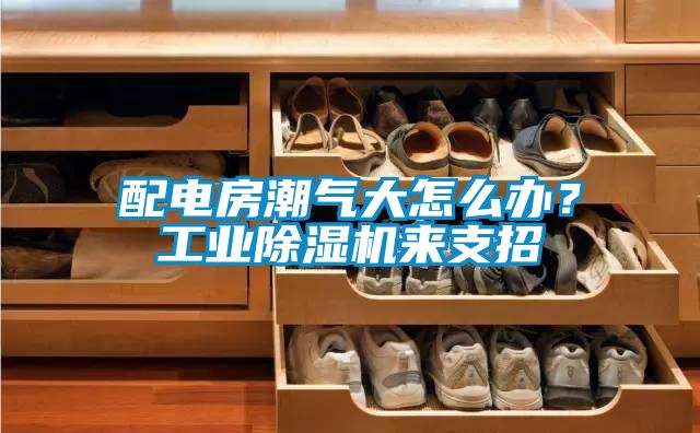 配電房潮氣大怎么辦？工業除濕機來支招