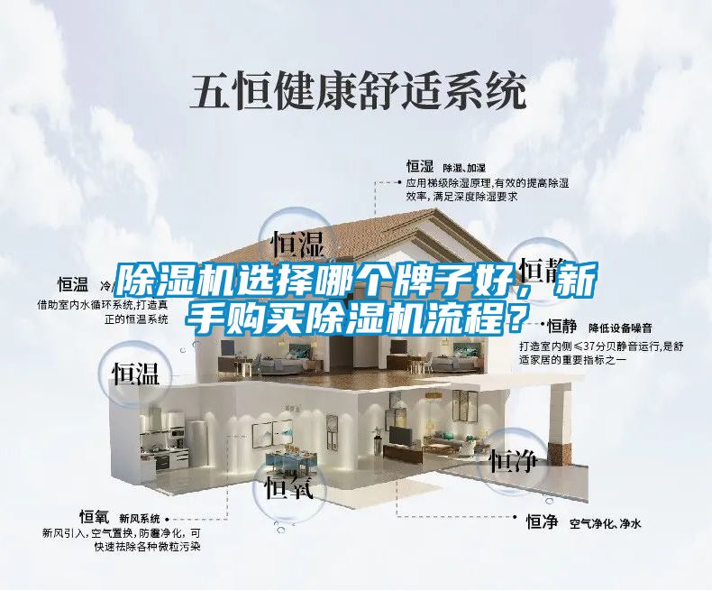 除濕機(jī)選擇哪個(gè)牌子好，新手購(gòu)買(mǎi)除濕機(jī)流程？