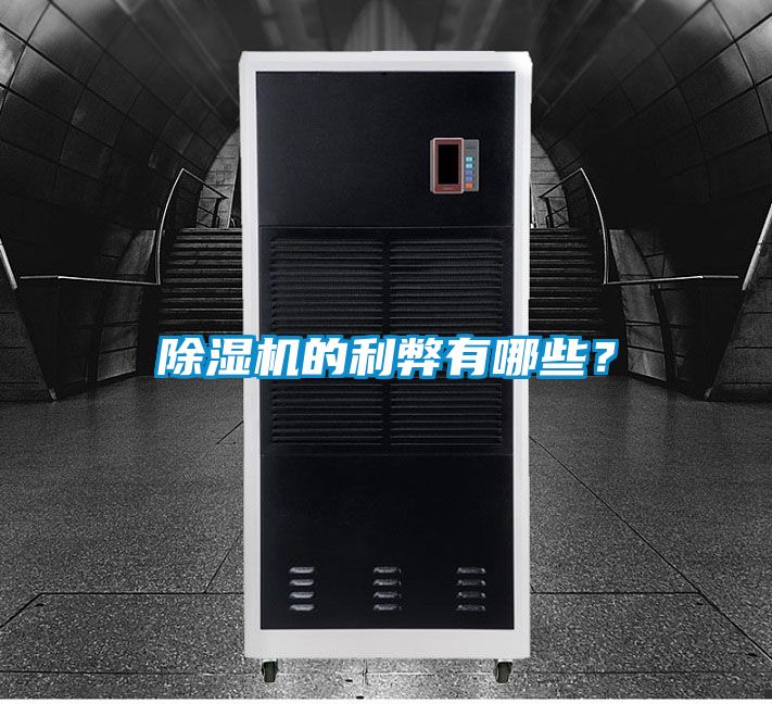 除濕機(jī)的利弊有哪些?