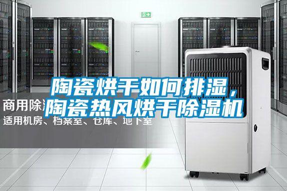 陶瓷烘干如何排濕,陶瓷熱風(fēng)烘干除濕機(jī)