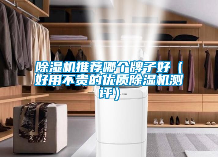 除濕機推薦哪個牌子好(好用不貴的優質除濕機測評)