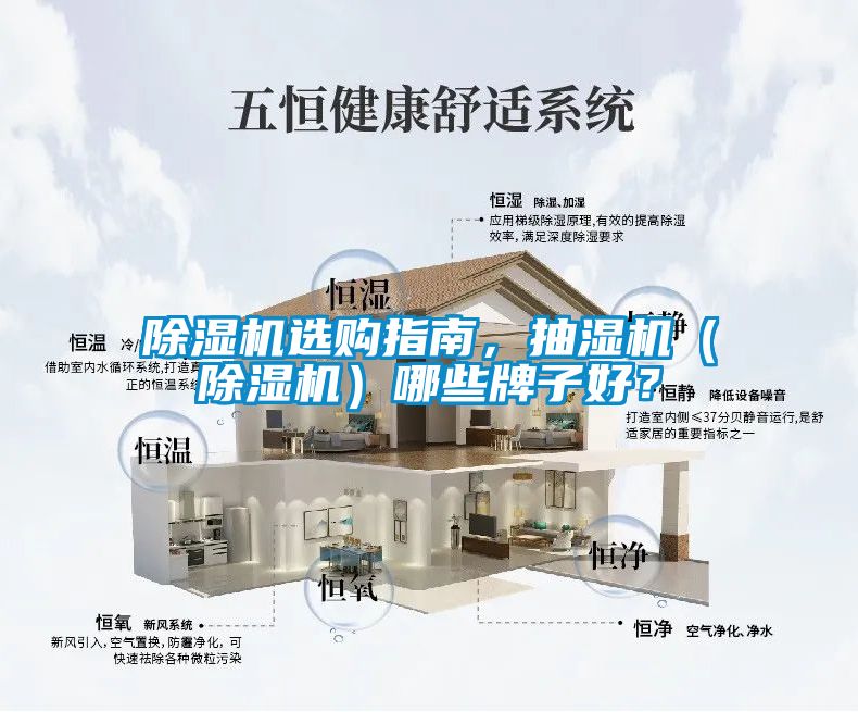 除濕機選購指南,抽濕機(除濕機)哪些牌子好?