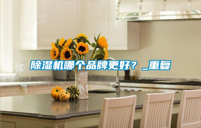 除濕機哪個品牌更好?_重復