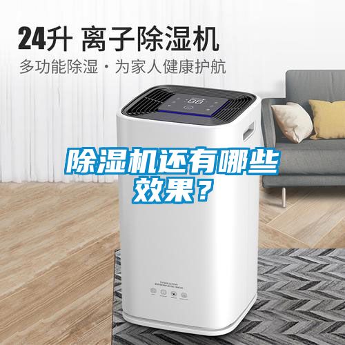 除濕機還有哪些效果?