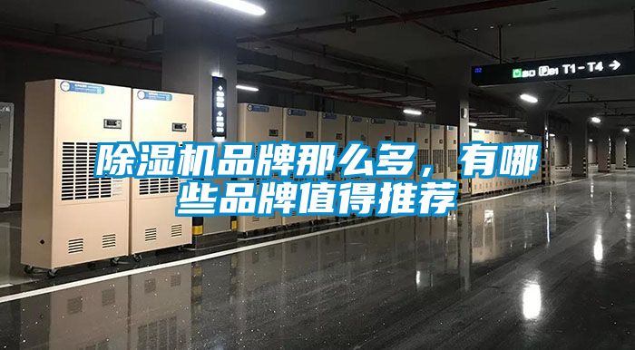 除濕機品牌那么多,有哪些品牌值得推薦