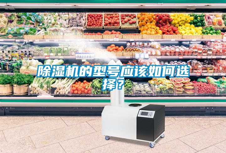 除濕機的型號應該如何選擇?