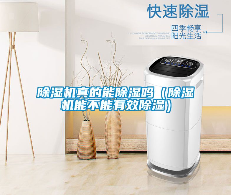 除濕機真的能除濕嗎(除濕機能不能有效除濕)