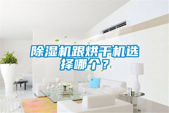 除濕機跟烘干機選擇哪個?